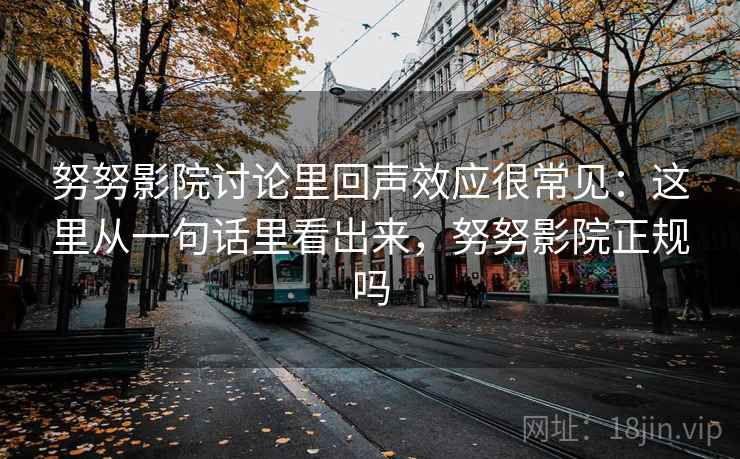 努努影院讨论里回声效应很常见：这里从一句话里看出来，努努影院正规吗