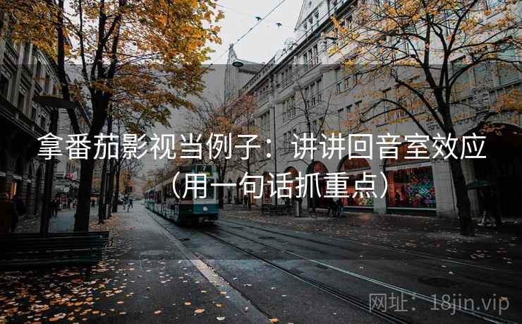 拿番茄影视当例子：讲讲回音室效应（用一句话抓重点）